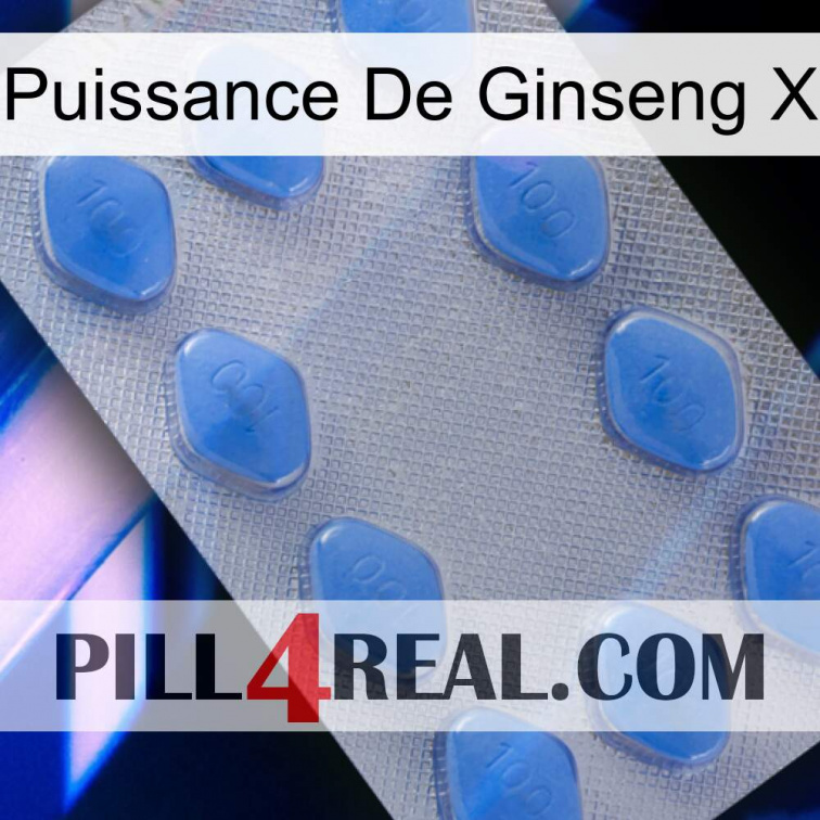 Ginseng Power X 21